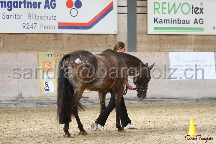 24-ApHC HIH_094.jpg